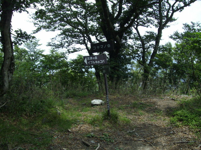 コヤマノ岳