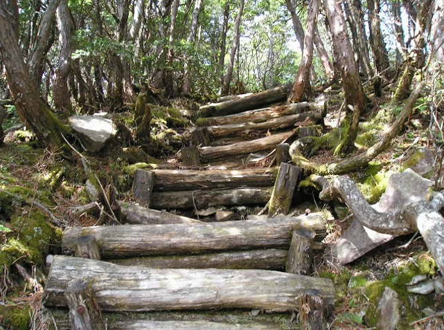 木の階段
