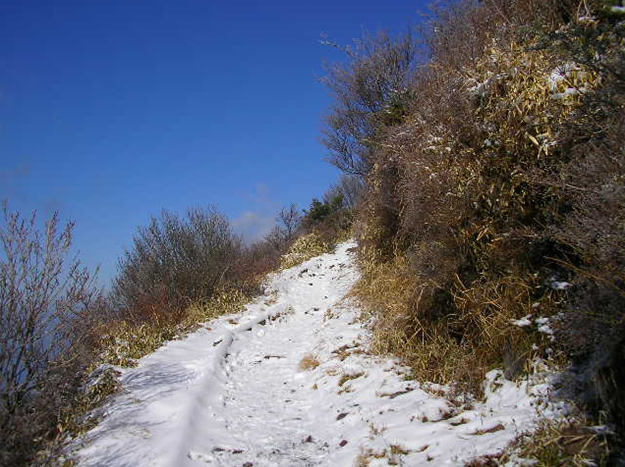 青空の雪道